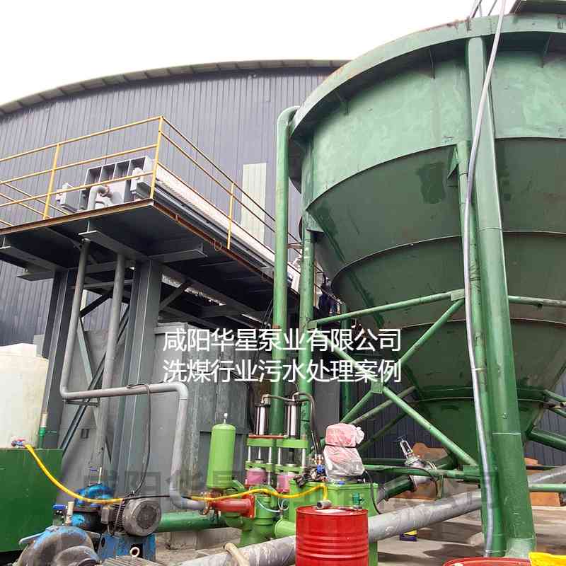 洗煤廠(chǎng)污水處理使用立式柱塞泵