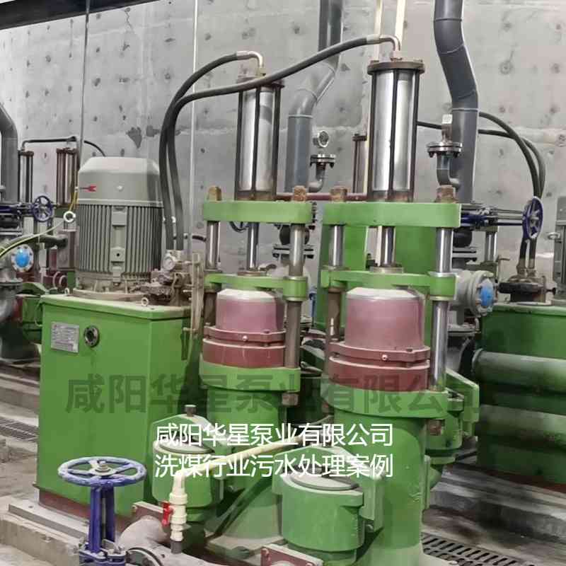 洗煤廠(chǎng)使用華星YBH300壓濾機(jī)專(zhuān)用入料泵